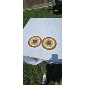 Vintage Plates Set of 2 Electra Casual Ceram Stoneware 10" Majestic 9600 Japan